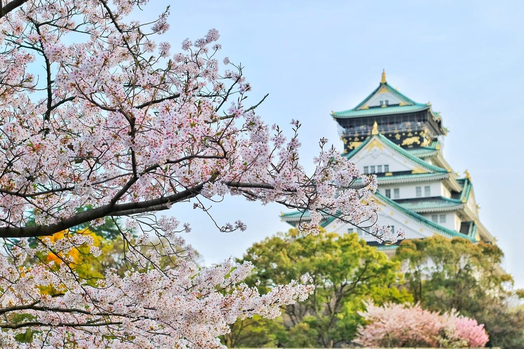 A traditional Japanese castle framed by cherry blossoms