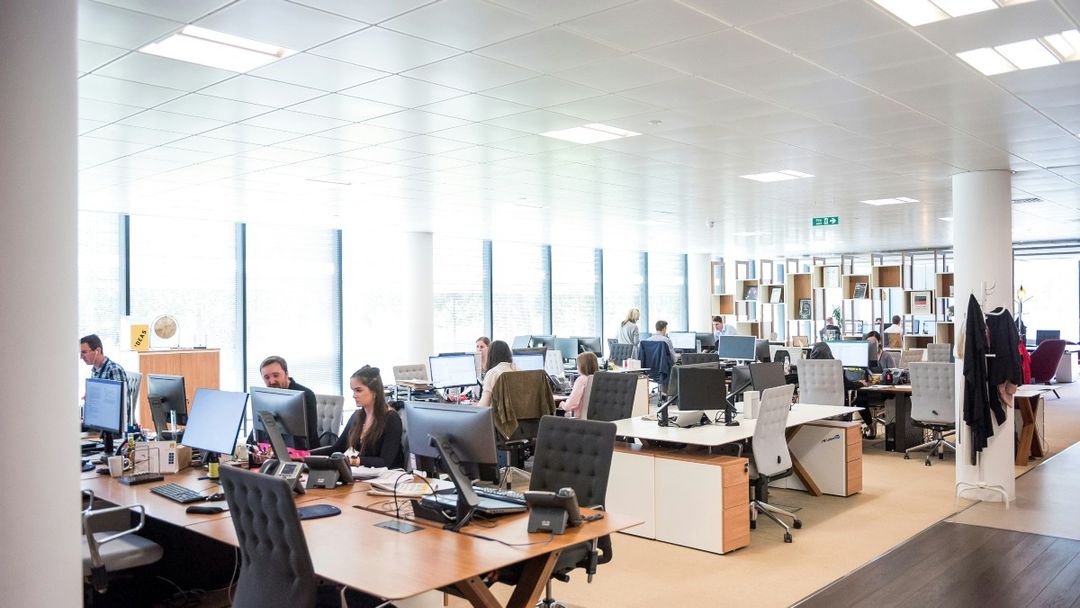 Team members working at desks in a bright open plan office